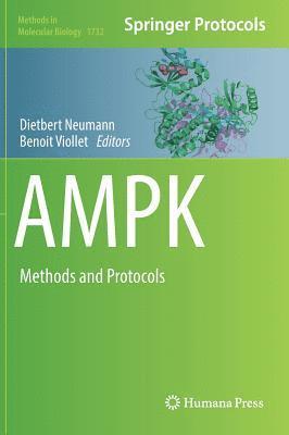 AMPK 1