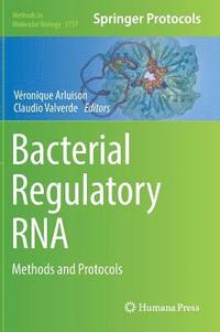 bokomslag Bacterial Regulatory RNA