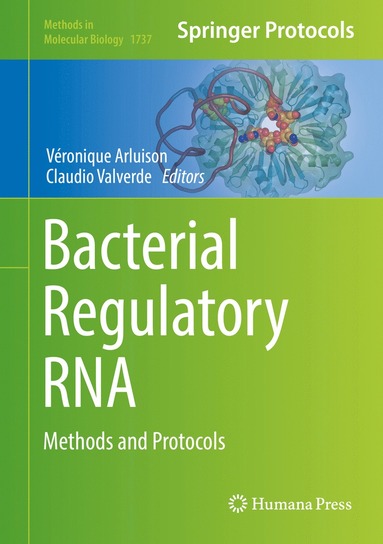 bokomslag Bacterial Regulatory RNA