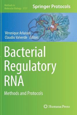 Bacterial Regulatory RNA 1