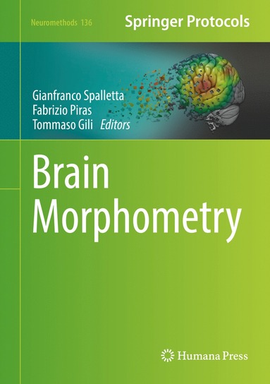 bokomslag Brain Morphometry