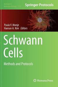 bokomslag Schwann Cells