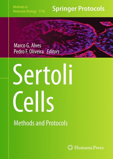 bokomslag Sertoli Cells