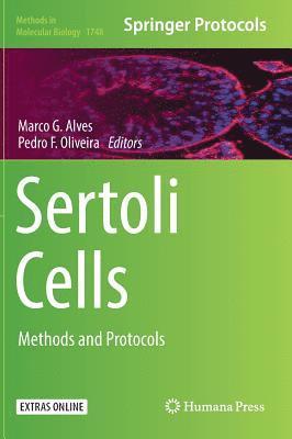Marco G. Alves, Pedro F. Oliveira - Sertoli Cells, Inbunden