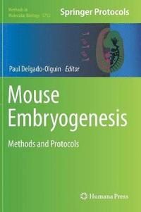 bokomslag Mouse Embryogenesis