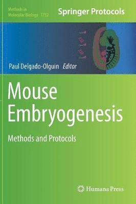 bokomslag Mouse Embryogenesis