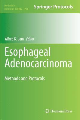 bokomslag Esophageal Adenocarcinoma