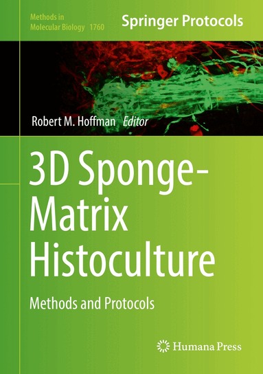 Robert M. Hoffman - 3D Sponge-Matrix Histoculture, Inbunden