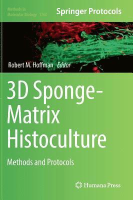 3D Sponge-Matrix Histoculture 1