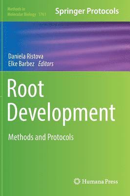 bokomslag Root Development