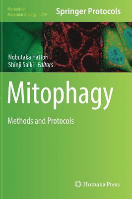 Nobutaka Hattori, Shinji Saiki - Mitophagy, Inbunden