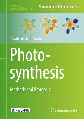 Photosynthesis 1