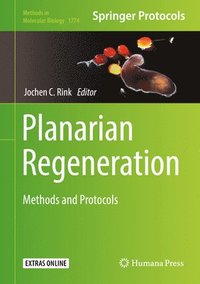 bokomslag Planarian Regeneration