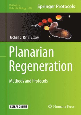 Planarian Regeneration 1