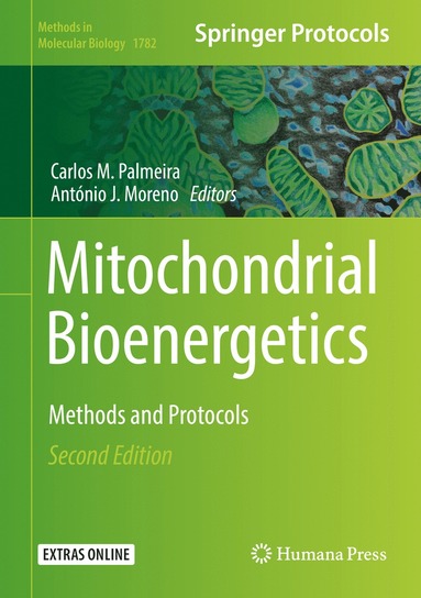 bokomslag Mitochondrial Bioenergetics