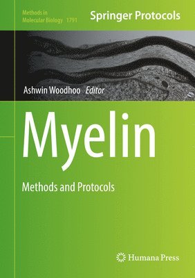 bokomslag Myelin