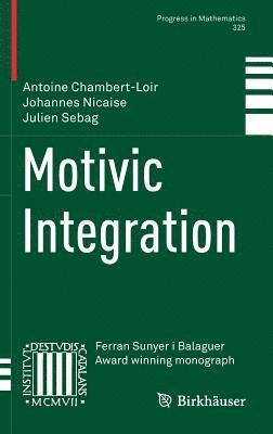 bokomslag Motivic Integration