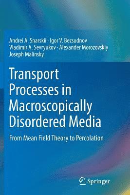 bokomslag Transport Processes in Macroscopically Disordered Media