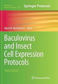 bokomslag Baculovirus and Insect Cell Expression Protocols