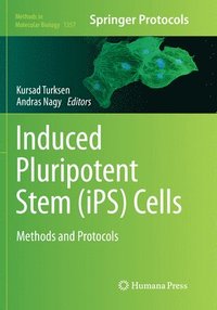 bokomslag Induced Pluripotent Stem (iPS) Cells