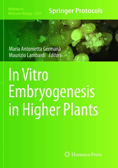 Maria Antonietta Germana, Maurizio Lambardi - In Vitro Embryogenesis in Higher Plants, Häftad