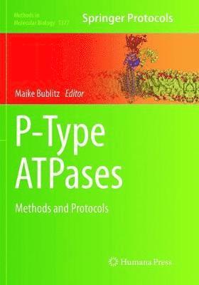 bokomslag P-Type ATPases