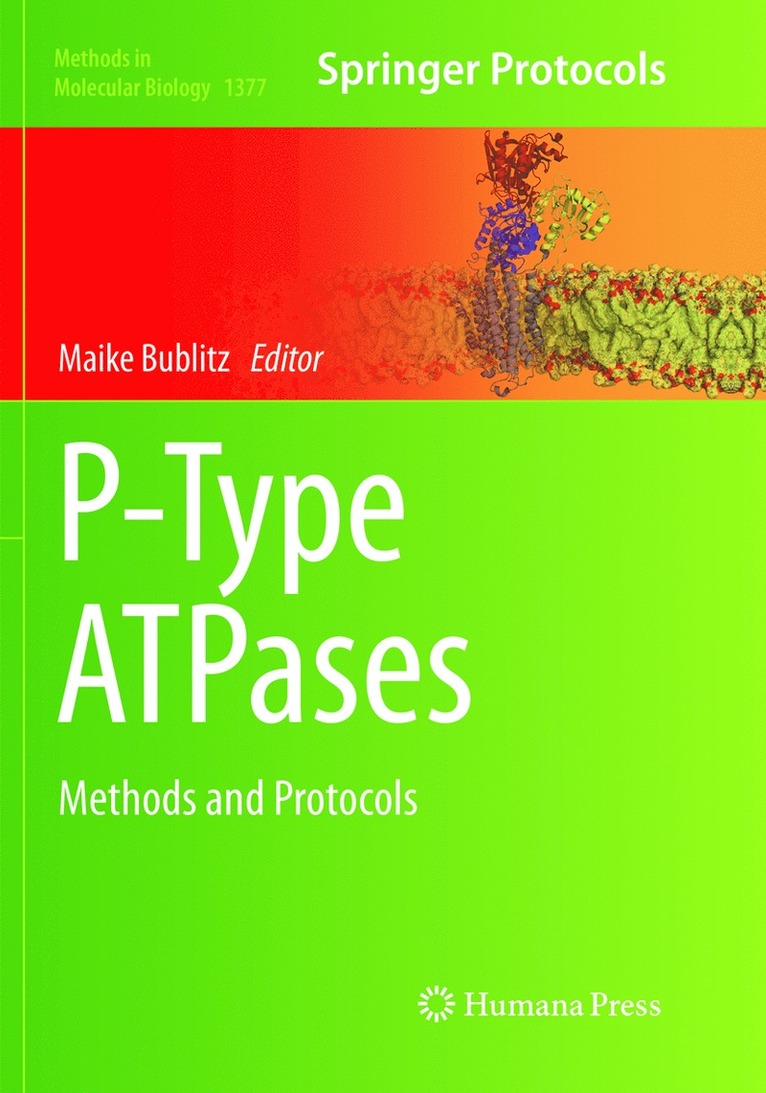 Maike Bublitz - P-Type ATPases, Häftad