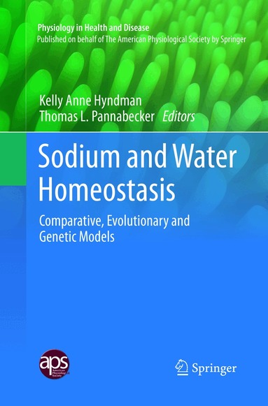 Kelly Anne Hyndman, Thomas L. Pannabecker - Sodium and Water Homeostasis, Häftad
