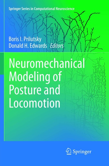 Boris I. Prilutsky, Donald H. Edwards - Neuromechanical Modeling of Posture and Locomotion, Häftad