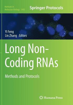 bokomslag Long Non-Coding RNAs