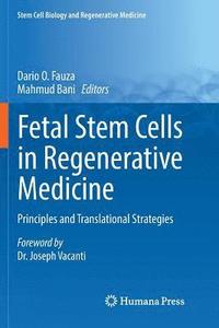 bokomslag Fetal Stem Cells in Regenerative Medicine
