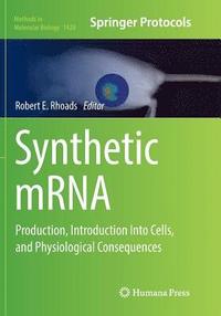 bokomslag Synthetic mRNA