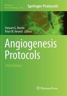 bokomslag Angiogenesis Protocols