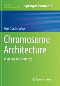 bokomslag Chromosome Architecture