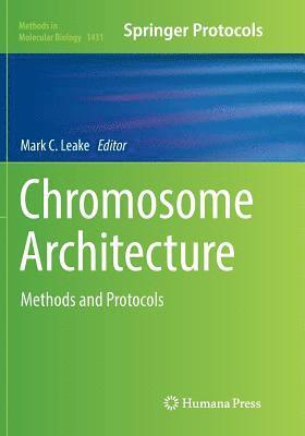Chromosome Architecture