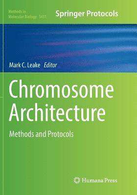 Chromosome Architecture 1