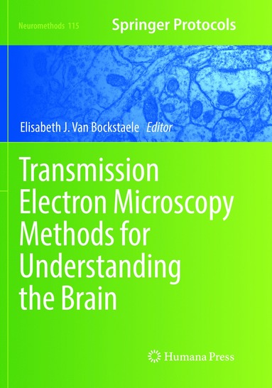 bokomslag Transmission Electron Microscopy Methods for Understanding the Brain