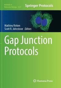 bokomslag Gap Junction Protocols