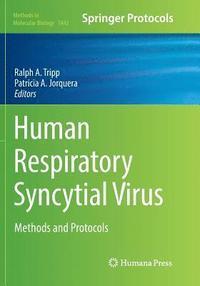 bokomslag Human Respiratory Syncytial Virus