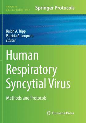 bokomslag Human Respiratory Syncytial Virus