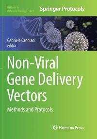 bokomslag Non-Viral Gene Delivery Vectors