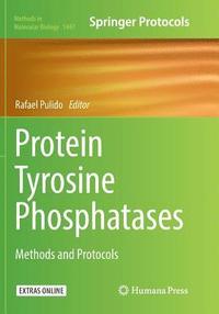 bokomslag Protein Tyrosine Phosphatases