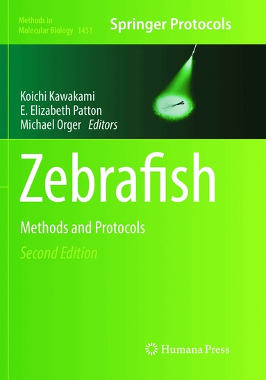 Koichi Kawakami, E. Elizabeth Patton, Michael Orger - Zebrafish, Häftad