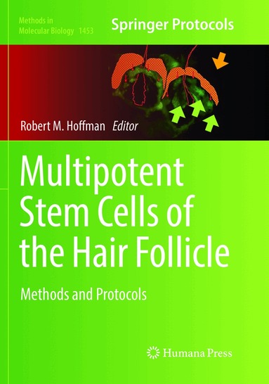 Robert M Hoffman - Multipotent Stem Cells of the Hair Follicle, Häftad