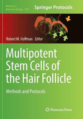 Multipotent Stem Cells of the Hair Follicle 1