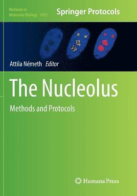 Attila Németh - Nucleolus, Häftad