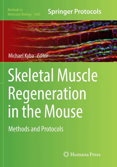 Michael Kyba - Skeletal Muscle Regeneration in the Mouse, Häftad