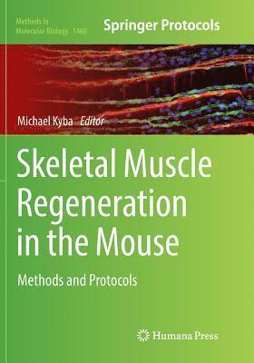 Skeletal Muscle Regeneration in the Mouse 1