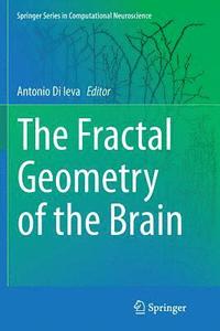 bokomslag Fractal Geometry of the Brain