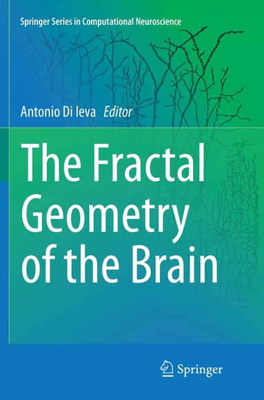 Antonio Di Ieva - Fractal Geometry of the Brain, Häftad